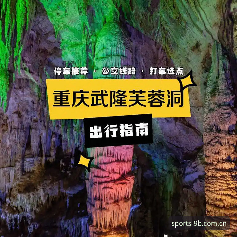 九博体育平台深度体验指南：从下载到观赛的完整攻略
